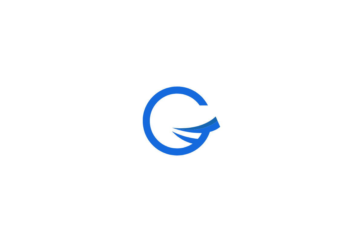 Logo G 8