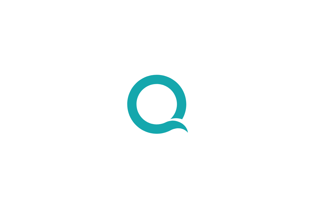 Logo Q 2