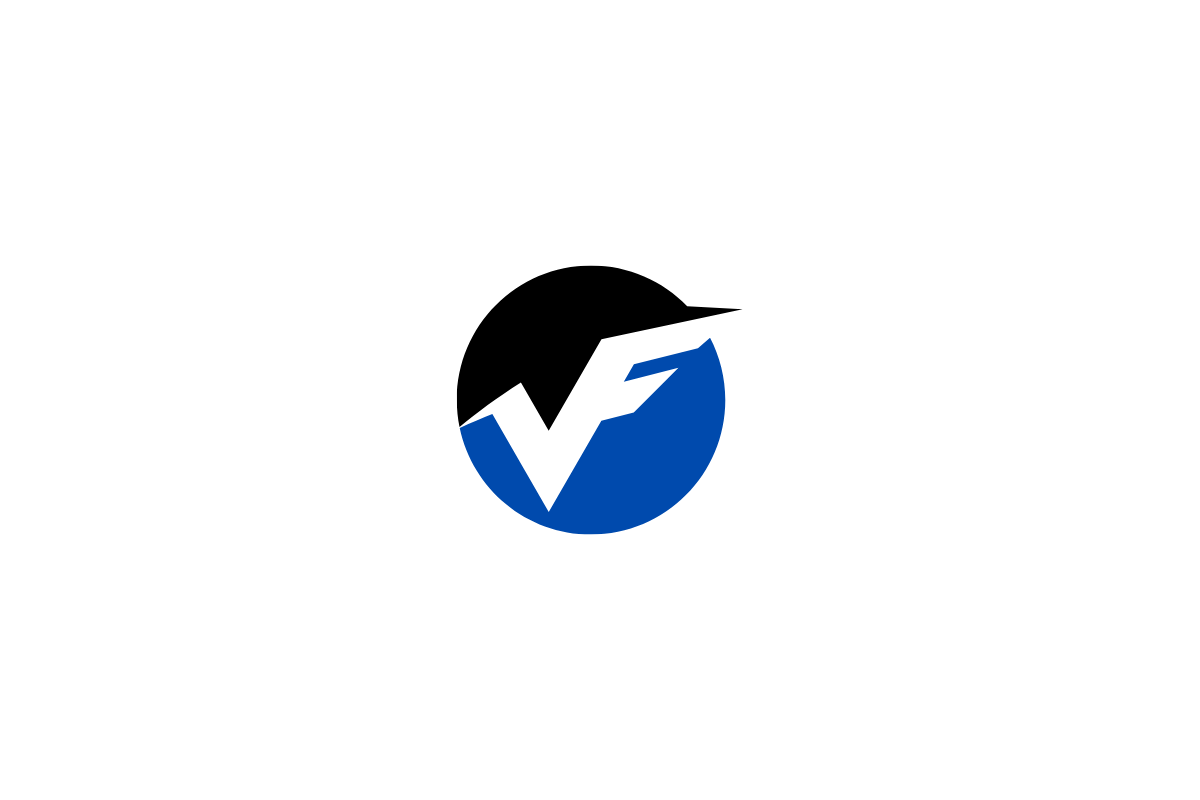 Logo V 4