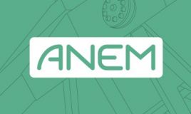 ANEM.com Wind Energy ANEM.com Logo